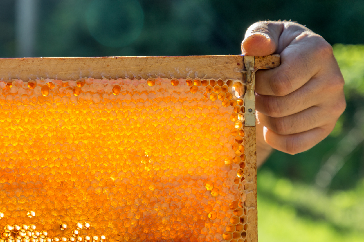 honey